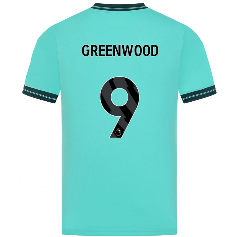 Danxen Men Jashayde Greenwood #9 Sky Blue Green Away Jersey 2025/26 T-Shirt