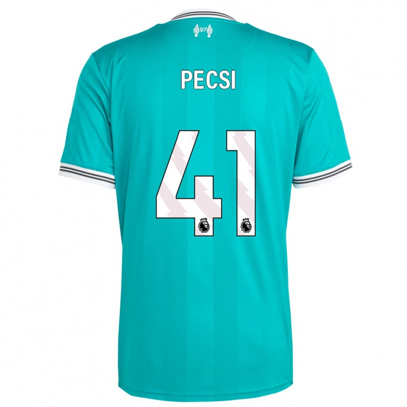 Danxen Men Ármin Pécsi #41 Green White Third Jersey 2025/26 T-Shirt