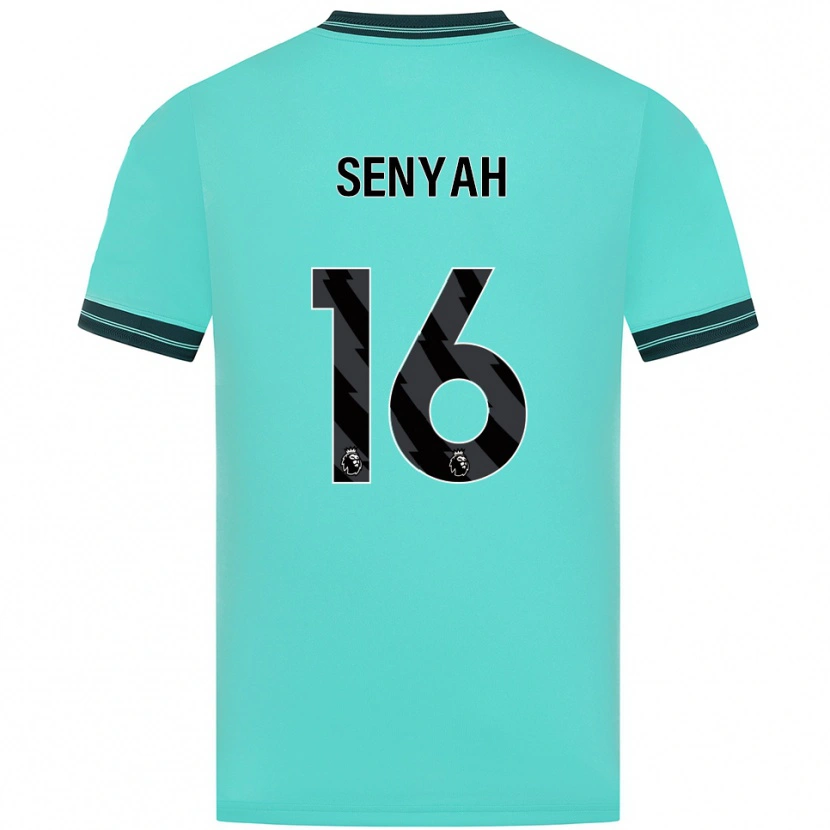 Danxen Women Kwasi Senyah #16 Sky Blue Green Away Jersey 2025/26 T-Shirt