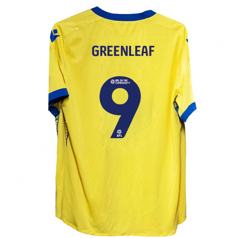 Danxen Men Ruby Greenleaf #9 Yellow Blue Away Jersey 2025/26 T-Shirt