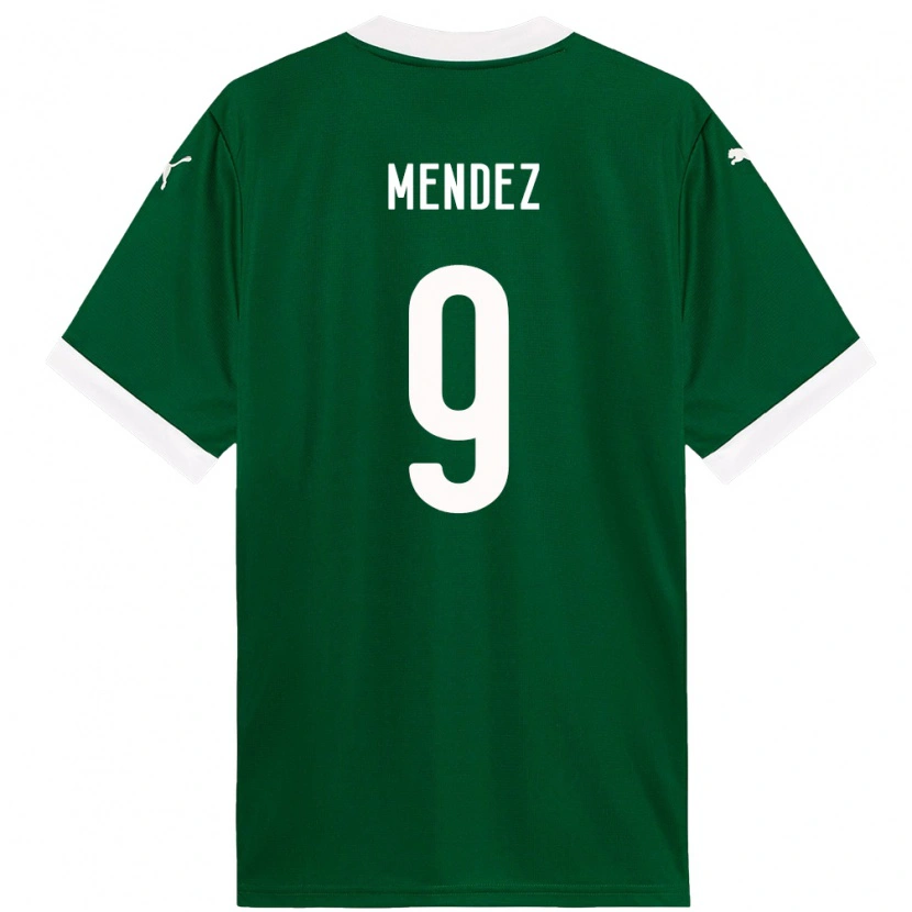 Danxen Men Cesar Mendez #9 Green White Home Jersey 2025/26 T-Shirt
