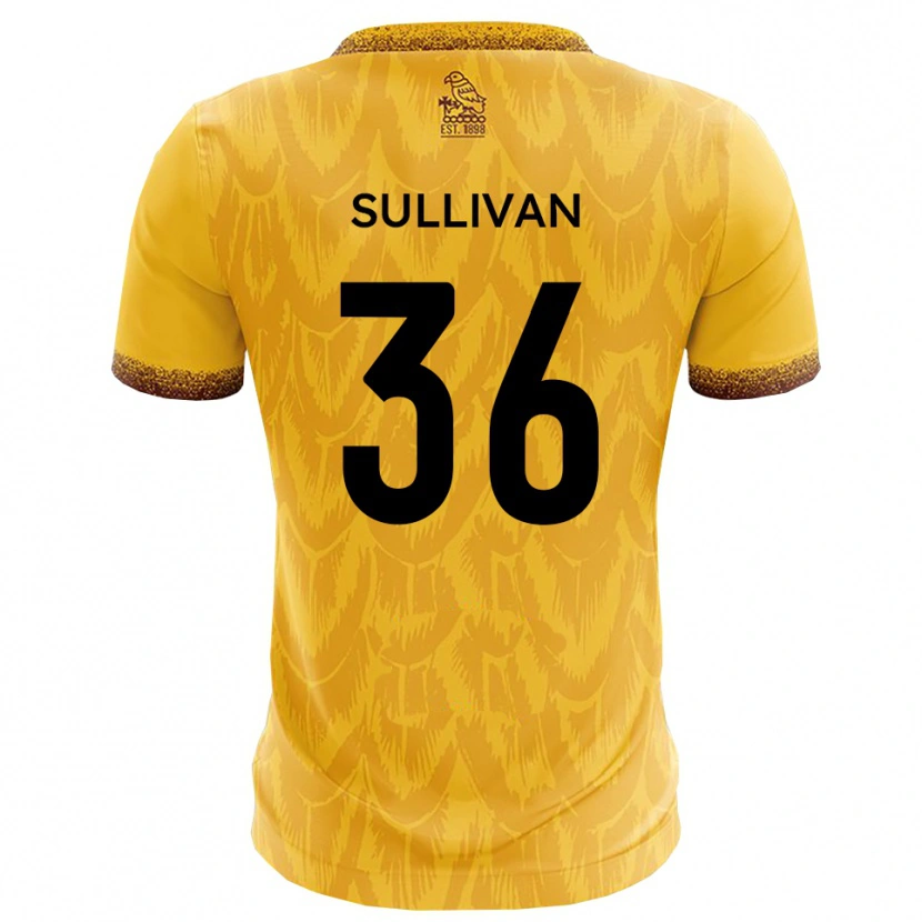 Danxen Men Cameron Sullivan #36 Yellow Brown Home Jersey 2025/26 T-Shirt
