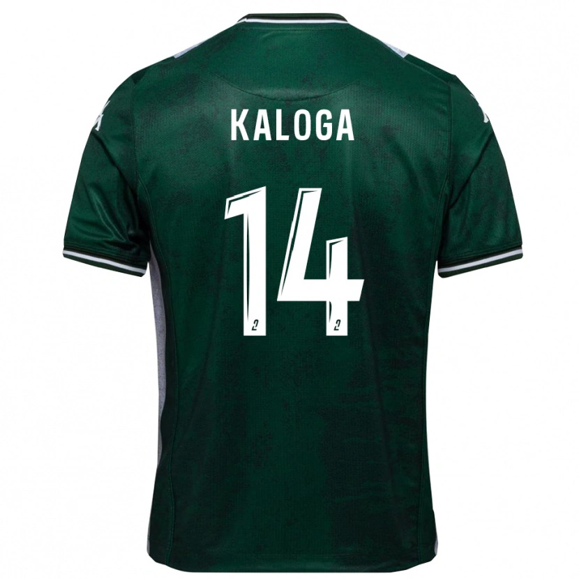 Danxen Men Amallah Kaloga #14 Green White Home Jersey 2025/26 T-Shirt