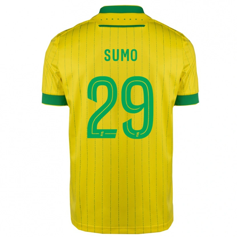 Danxen Kid Eva Sumo #29 Yellow Green Home Jersey 2025/26 T-Shirt