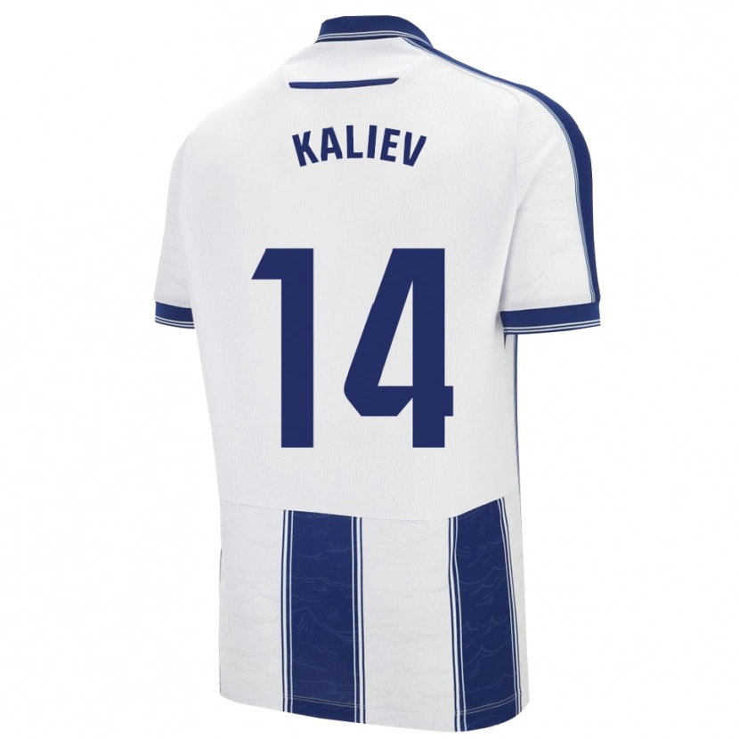 Danxen Men Shyngys Kaliev #14 Navy White Away Jersey 2025/26 T-Shirt