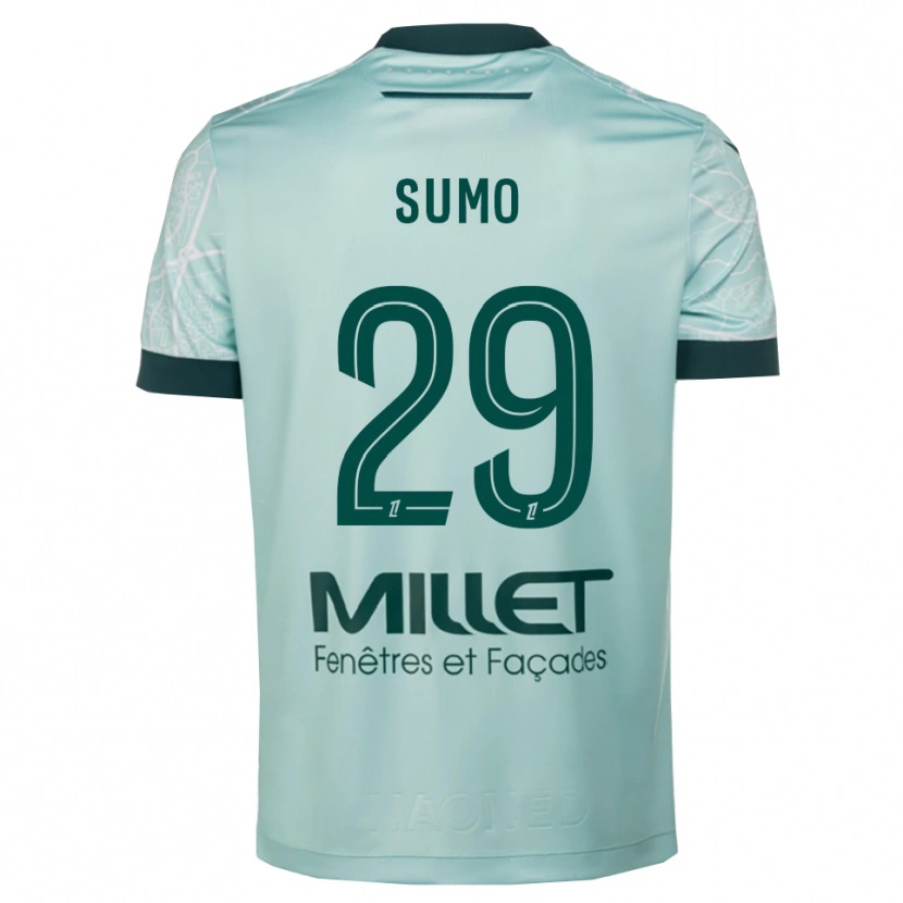 Danxen Women Eva Sumo #29 Green White Away Jersey 2025/26 T-Shirt