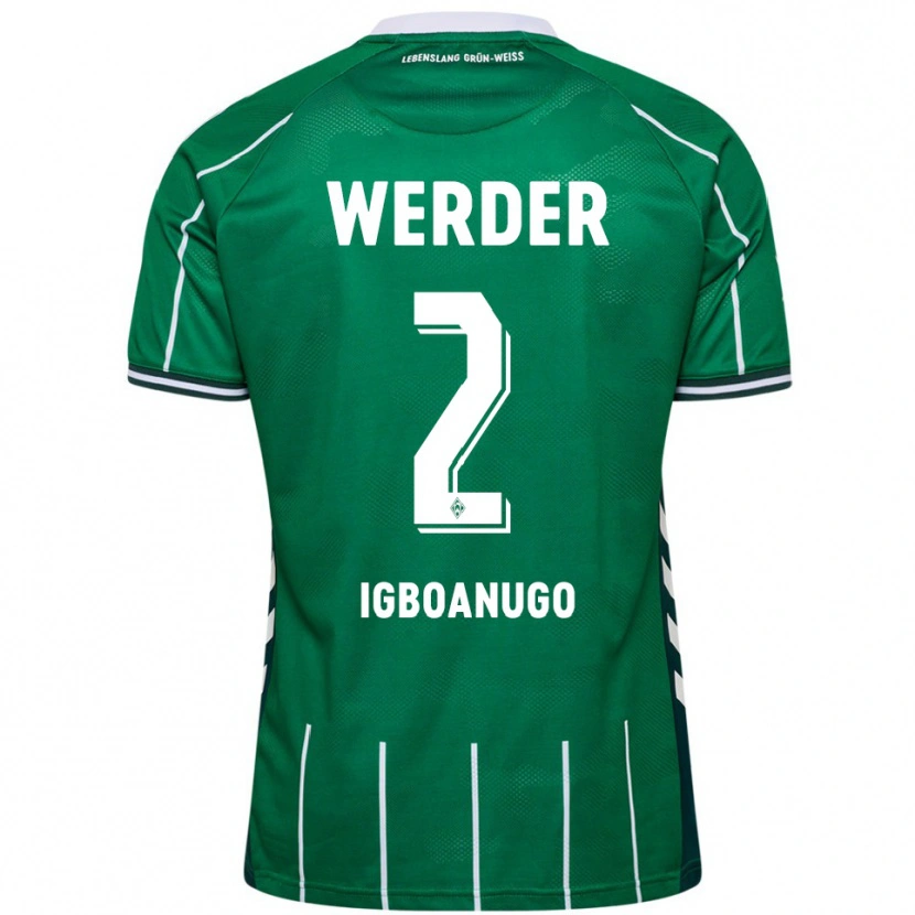 Danxen Kid David Igboanugo #2 Green White Home Jersey 2025/26 T-Shirt