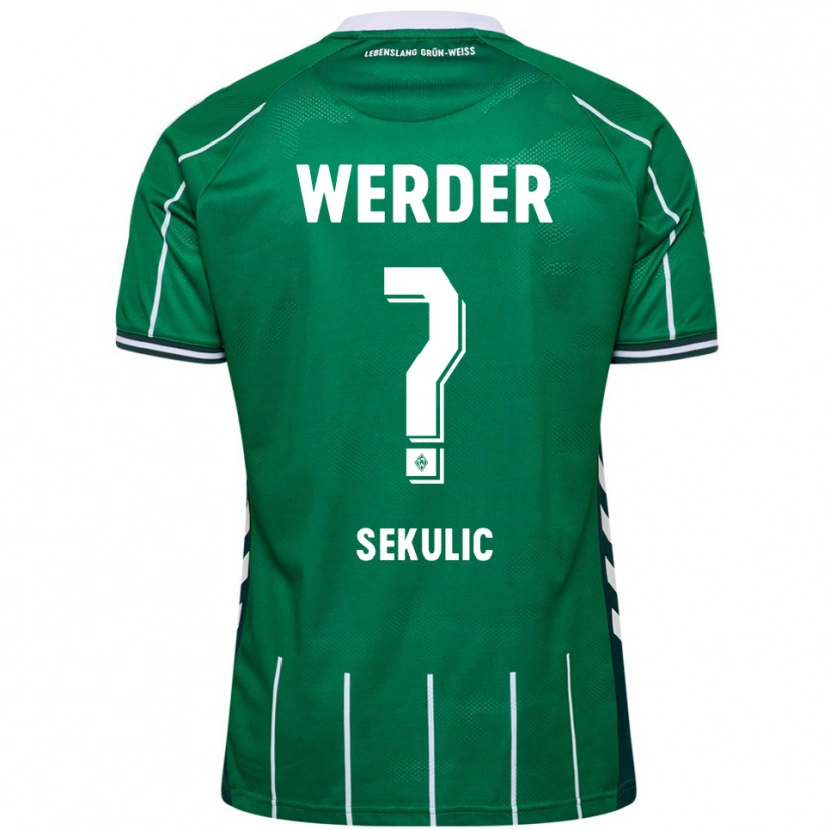 Danxen Men Vid Sekulic #0 Green White Home Jersey 2025/26 T-Shirt