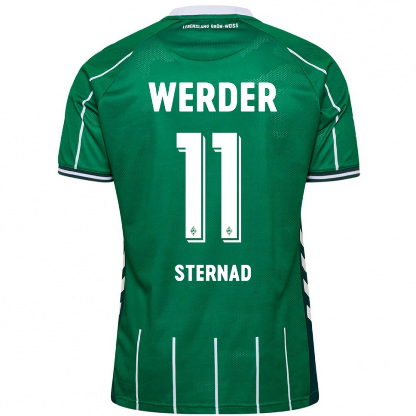 Danxen Men Maja Sternad #11 Green White Home Jersey 2025/26 T-Shirt