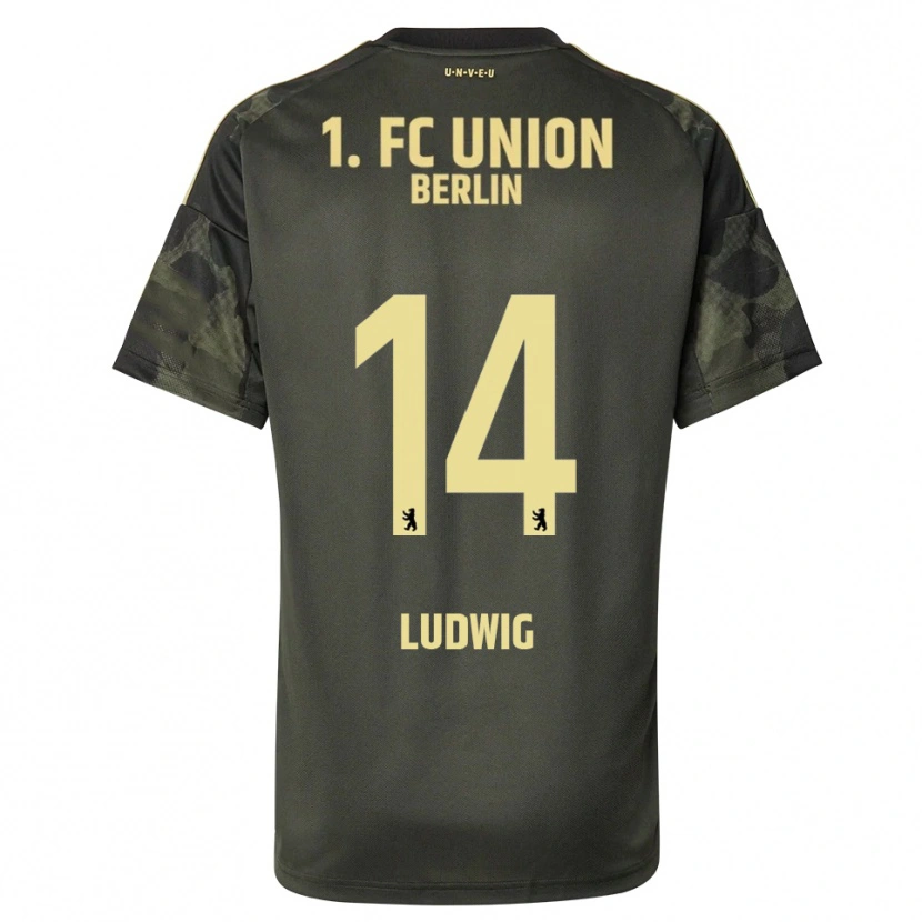 Danxen Men Brandon Ludwig #14 Dark Green Black Away Jersey 2025/26 T-Shirt