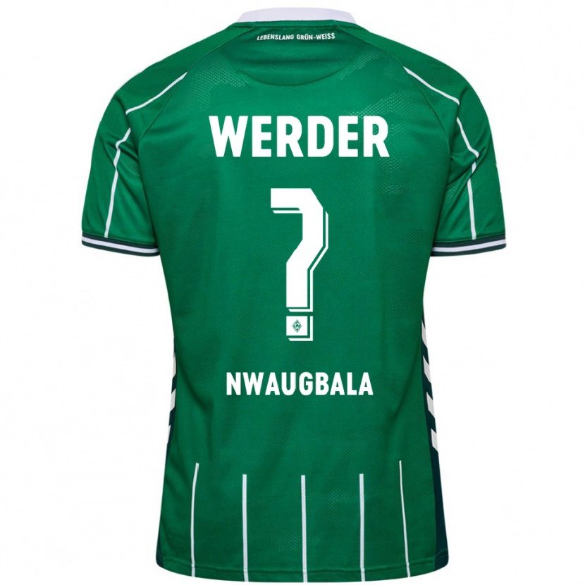 Danxen Women Kevin Nwaugbala #0 Green White Home Jersey 2025/26 T-Shirt