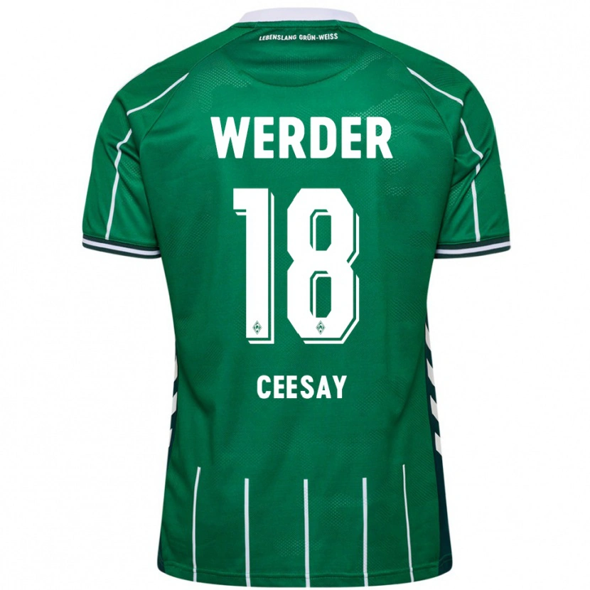 Danxen Women Ablie Ceesay #18 Green White Home Jersey 2025/26 T-Shirt