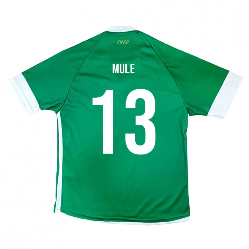 Danxen Men Erasmo Mulè #13 Green White Home Jersey 2025/26 T-Shirt