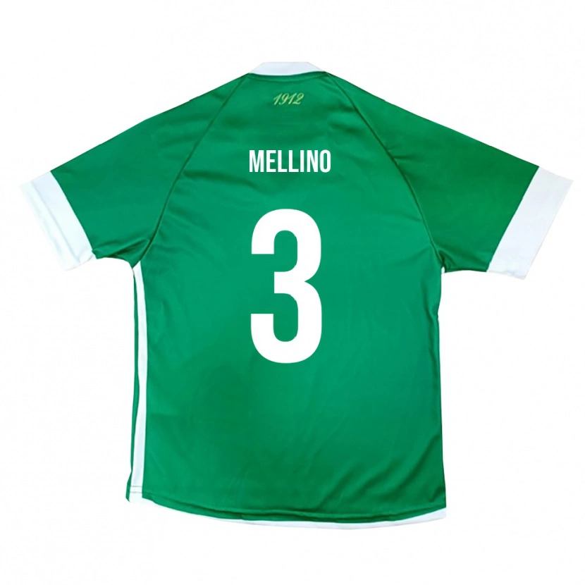 Danxen Men Carlo Mellino #3 Green White Home Jersey 2025/26 T-Shirt