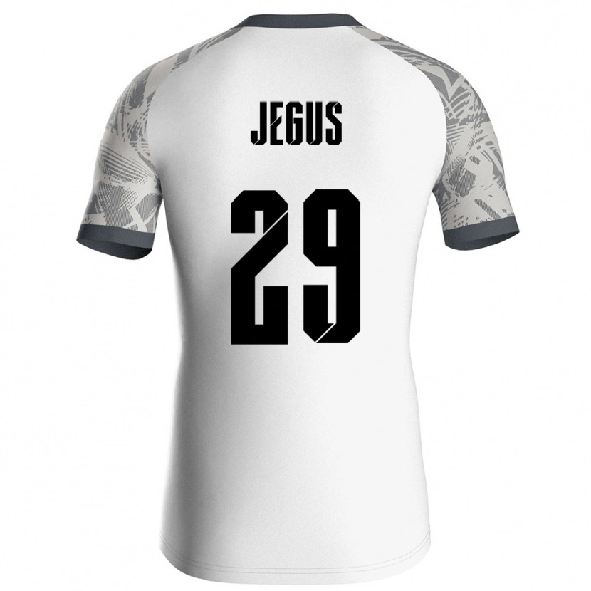 Danxen Kid Leonard Jegus #29 Gray White Goalkeeper Jersey 2025/26 T-Shirt