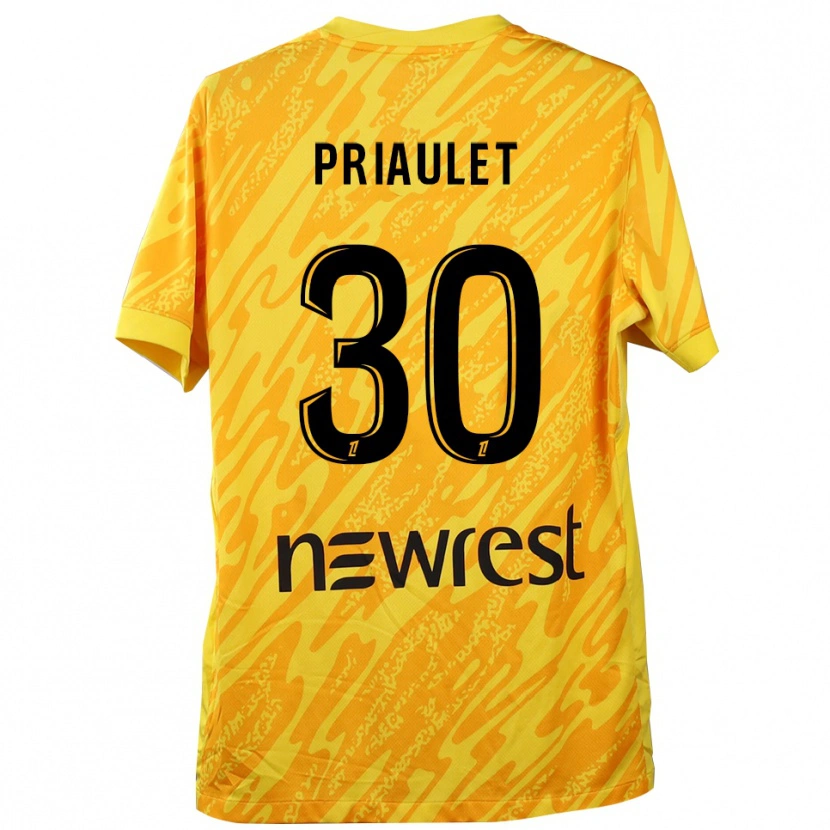 Danxen Kid Anaïs Priaulet #30 Yellow Black Goalkeeper Jersey 2025/26 T-Shirt