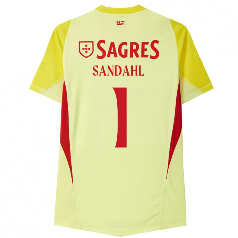 Danxen Men Alexander Sandahl #1 Yellow Red Goalkeeper Jersey 2025/26 T-Shirt