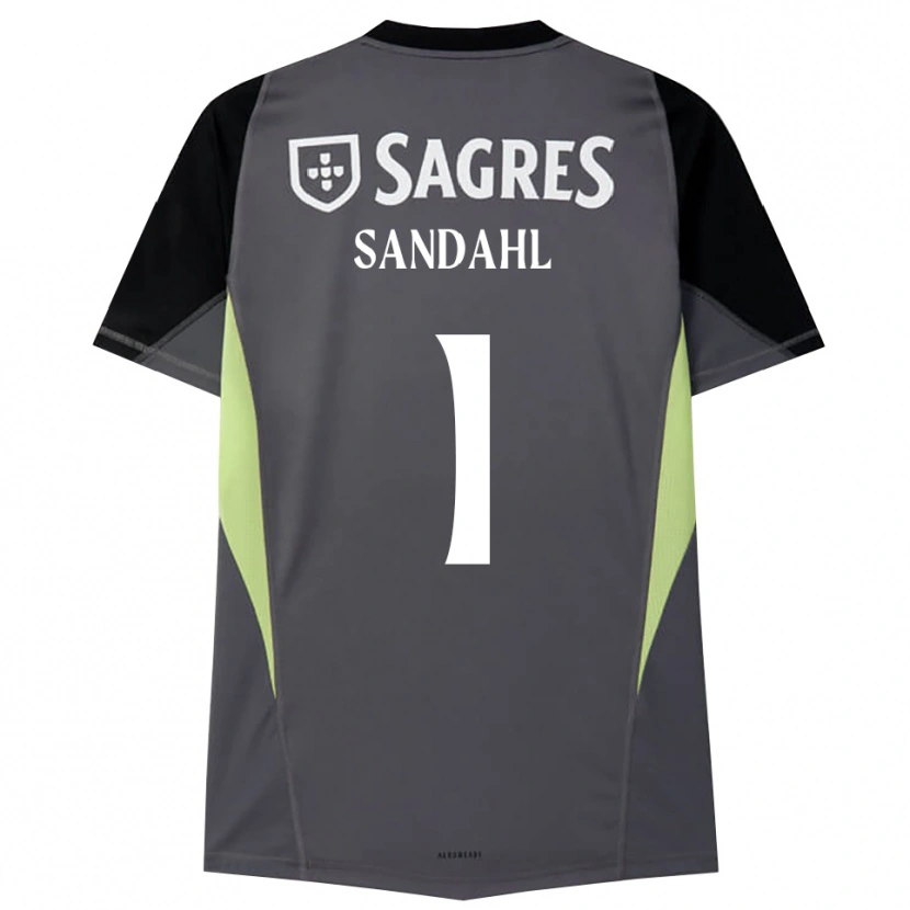 Danxen Men Alexander Sandahl #1 Dark Gray Black Goalkeeper Jersey 2025/26 T-Shirt