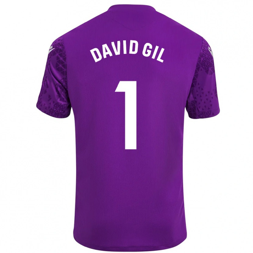 Danxen Men David Gil #1 Dark Purple White Goalkeeper Jersey 2025/26 T-Shirt
