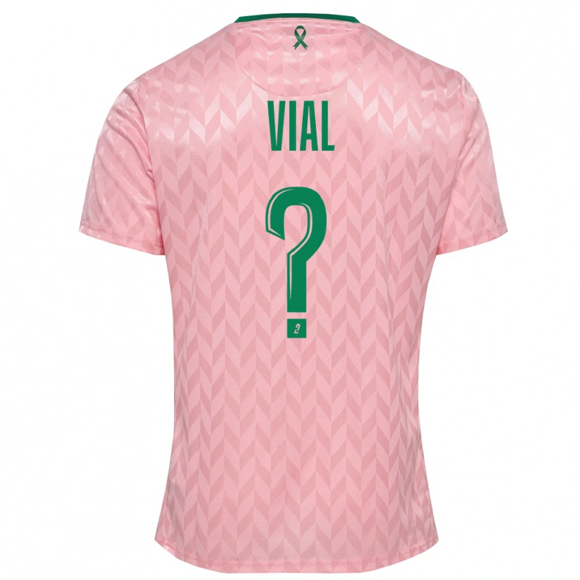 Danxen Women Lorik Vial #0 Pink Green Goalkeeper Jersey 2025/26 T-Shirt
