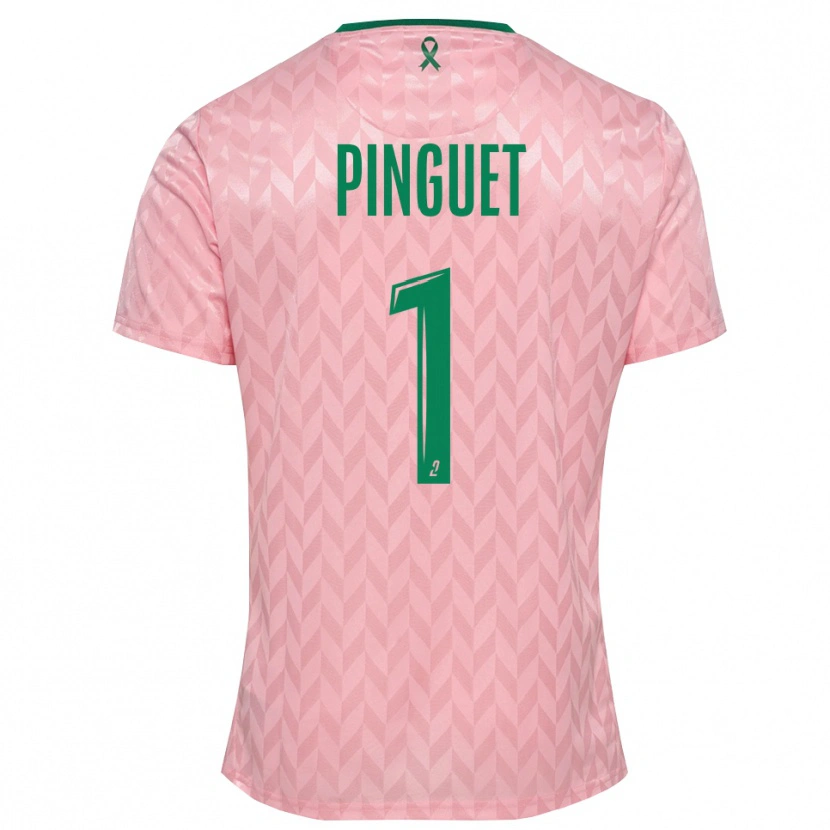 Danxen Women Alice Pinguet #1 Pink Green Goalkeeper Jersey 2025/26 T-Shirt
