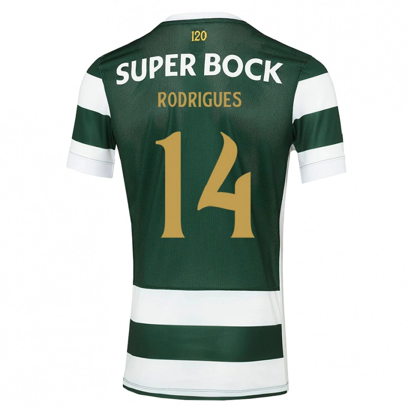 Danxen Kid Paulo Rodrigues #14 Darkslate Gray White Home Jersey 2026/27 T-Shirt