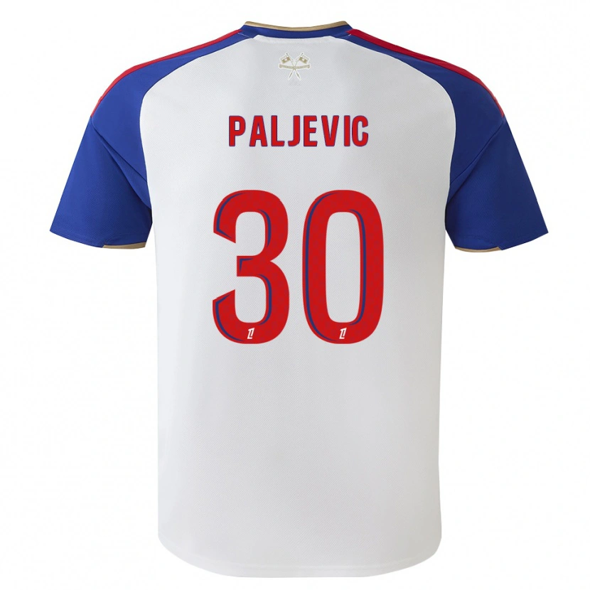Danxen Men Alyssia Paljevic #30 Royalblue Red White Home Jersey 2026/27 T-Shirt