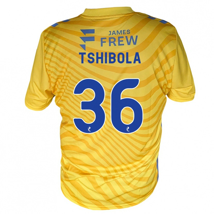 Danxen Men Aaron Tshibola #36 Royalblue Yellow Away Jersey 2026/27 T-Shirt