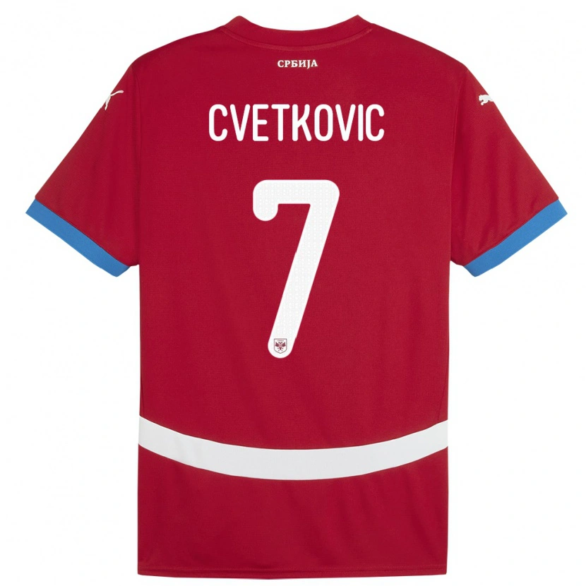 Danxen Kid Serbia Mihajlo Cvetkovic #7 Red Home Jersey 24-26 T-Shirt