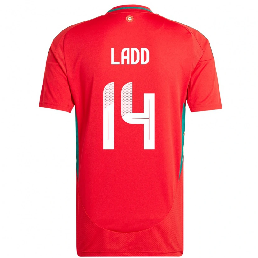 Danxen Men Wales Hayley Ladd #14 Red Home Jersey 24-26 T-Shirt