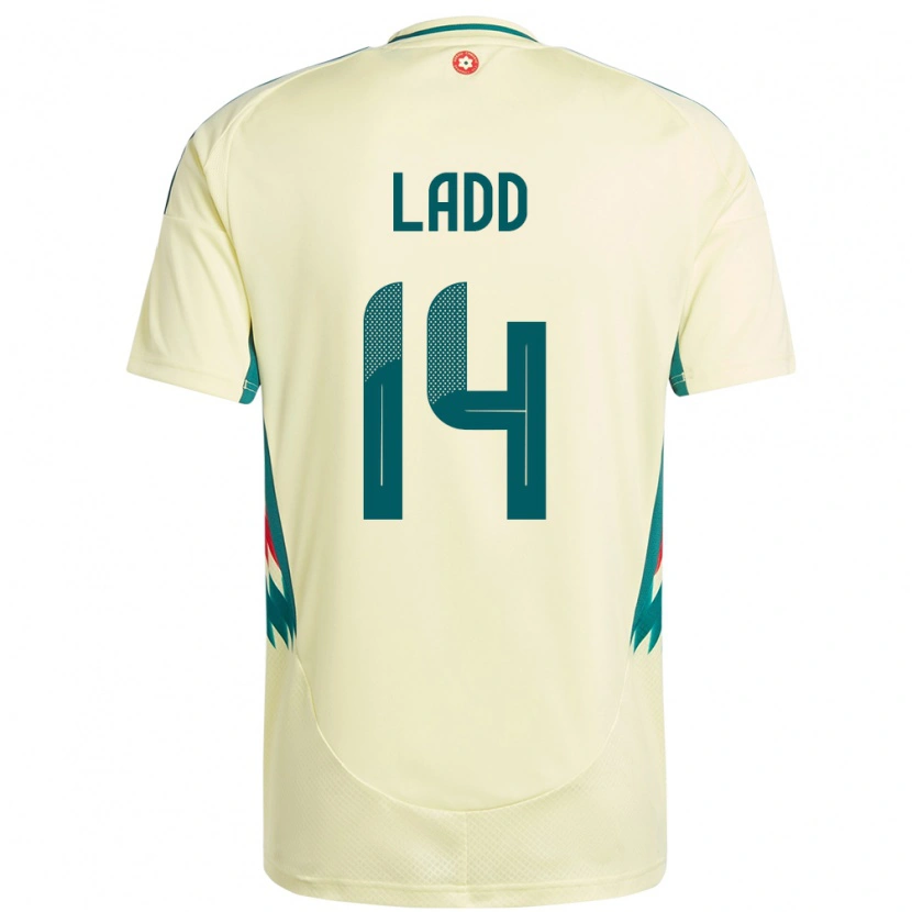 Danxen Men Wales Hayley Ladd #14 Beige Yellow Away Jersey 24-26 T-Shirt