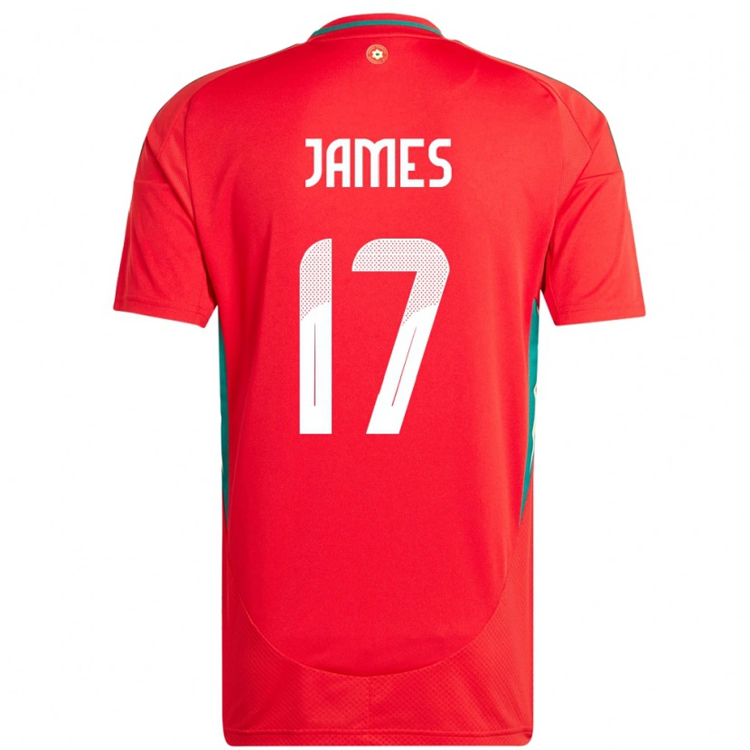 Danxen Women Wales Jordan James #17 Red Home Jersey 24-26 T-Shirt