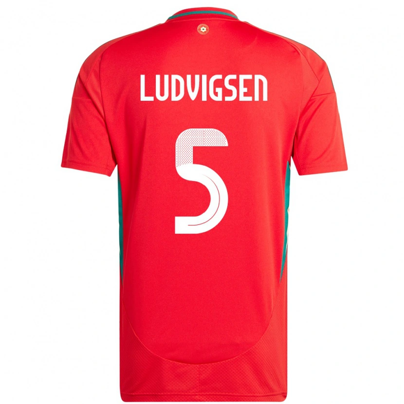 Danxen Women Wales Kai Ludvigsen #5 Red Home Jersey 24-26 T-Shirt