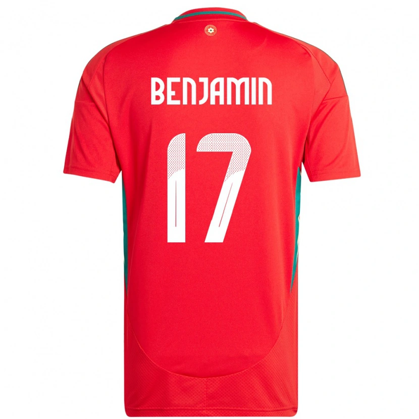 Danxen Women Wales Omari Benjamin #17 Red Home Jersey 24-26 T-Shirt