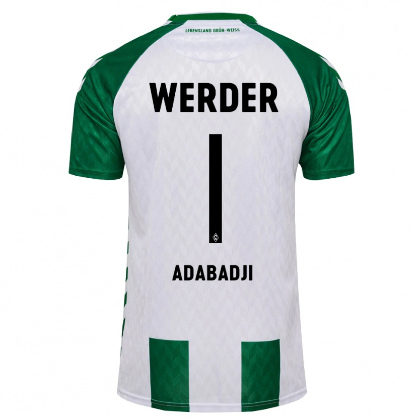 Danxen Men Kwassi-Vivien Felix Adabadji #1 Green White Home Jersey 2026/27 T-Shirt