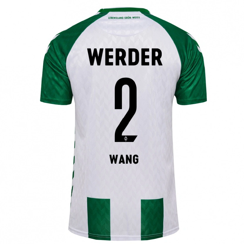 Danxen Men Bowen Wang #2 Green White Home Jersey 2026/27 T-Shirt