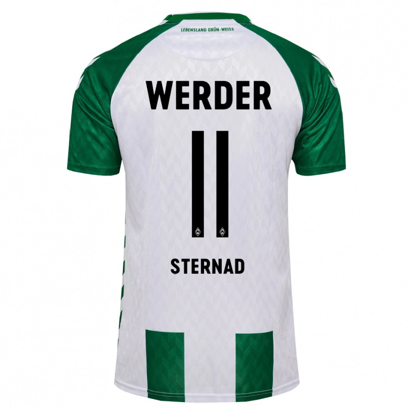Danxen Men Maja Sternad #11 Green White Home Jersey 2026/27 T-Shirt