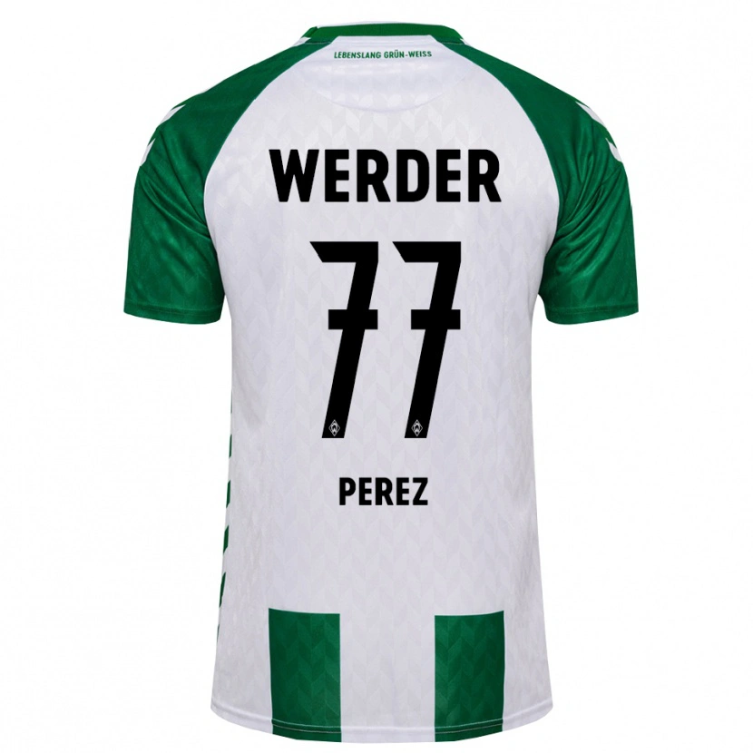 Danxen Men Catalina Pérez Jaramillo #77 Green White Home Jersey 2026/27 T-Shirt