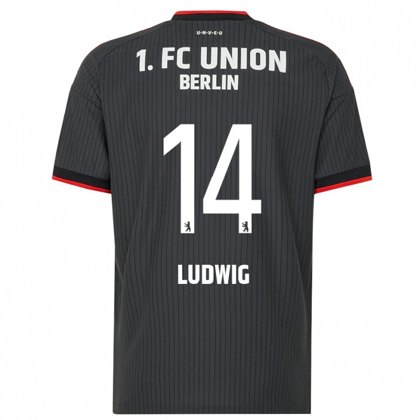Danxen Men Brandon Ludwig #14 Black White Red Away Jersey 2026/27 T-Shirt