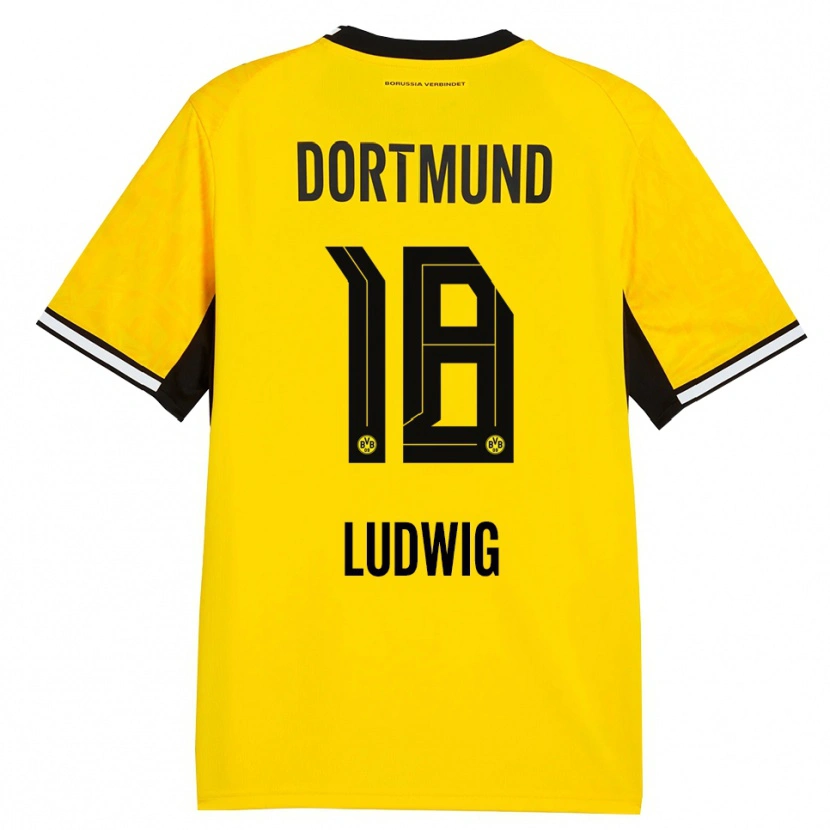 Danxen Kid Michel Ludwig #18 Yellow Black White Home Jersey 2026/27 T-Shirt