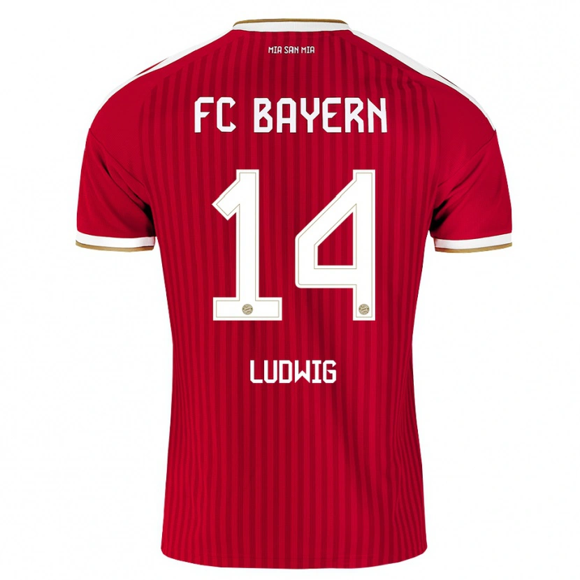 Danxen Men Linus Ludwig #14 Red White Blue Home Jersey 2026/27 T-Shirt