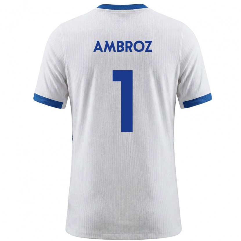 Danxen Kid Slovenia Lan Ambroz #1 White Blue Home Jersey 26-28 T-Shirt