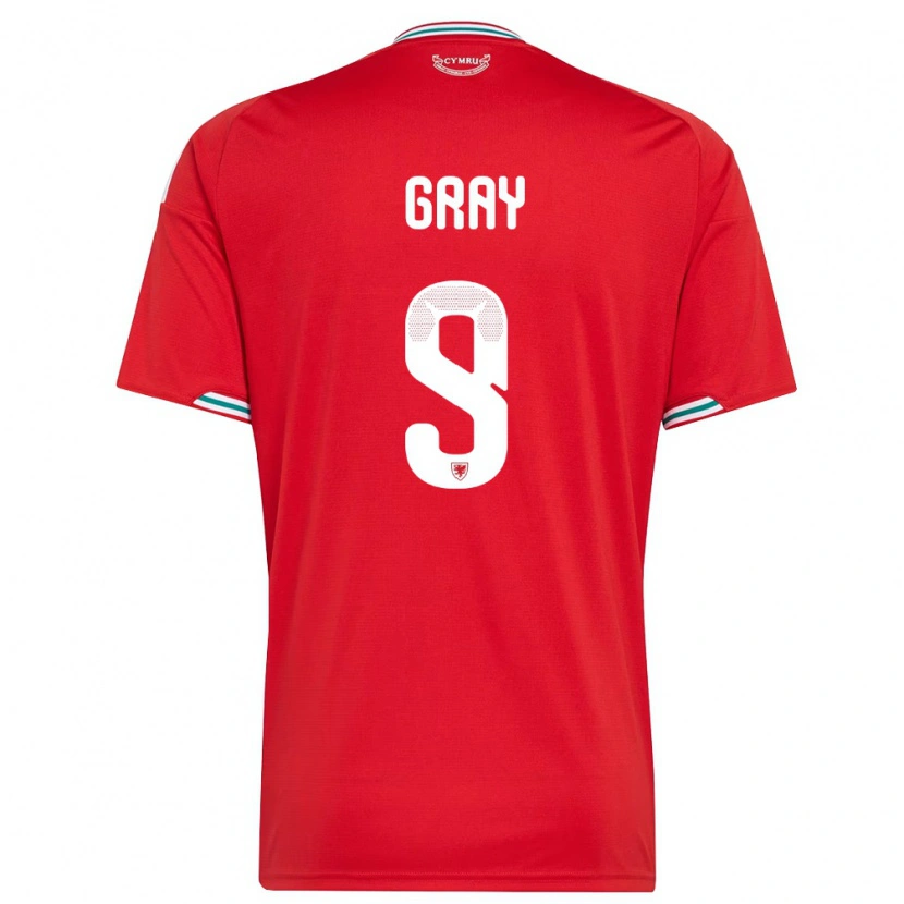 Danxen Kid Wales Harvey Gray #9 Red White Green Home Jersey 26-28 T-Shirt