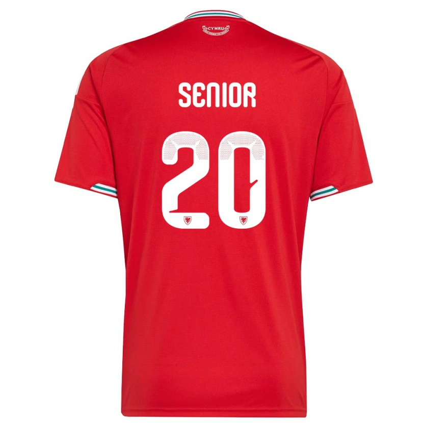 Danxen Men Wales Matt Senior #20 Red White Green Home Jersey 26-28 T-Shirt