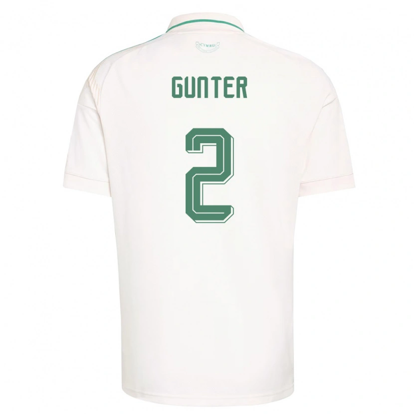 Danxen Men Wales Chris Gunter #2 White Brown Green Away Jersey 26-28 T-Shirt