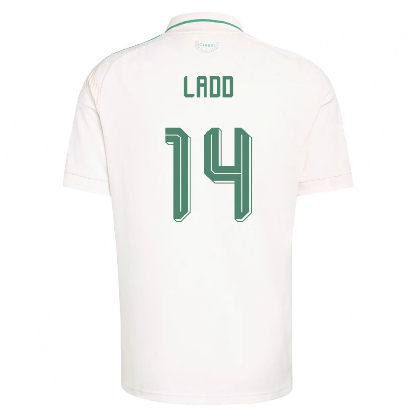 Danxen Men Wales Hayley Ladd #14 White Brown Green Away Jersey 26-28 T-Shirt