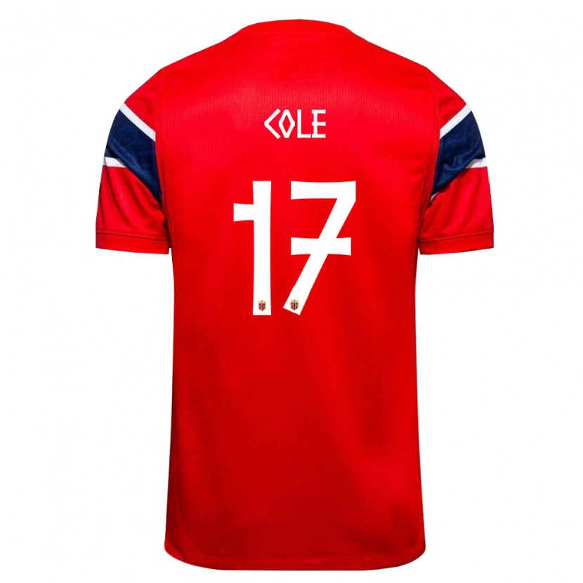 Danxen Men Norway Alan Cole #17 Red Navy White Home Jersey 26-28 T-Shirt