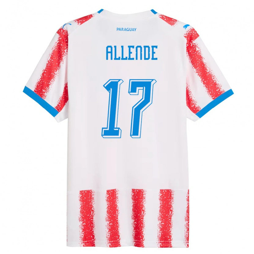 Danxen Men Paraguay Félix Allende #17 White Red Blue Home Jersey 26-28 T-Shirt