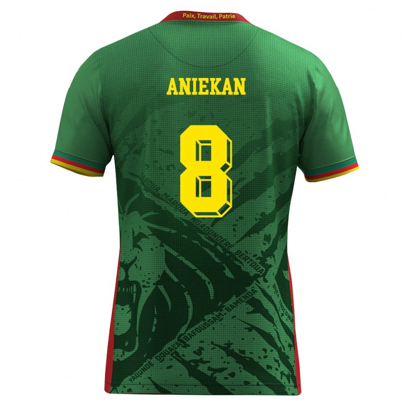 Danxen Kid Cameroon Stephan Aniekan #8 Green Yellow Red Home Jersey 26-28 T-Shirt