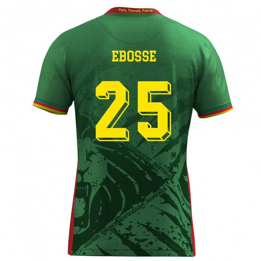 Danxen Kid Cameroon Enzo Ebosse #25 Green Yellow Red Home Jersey 26-28 T-Shirt